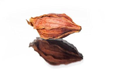 N64《班卓熊大冒险》已被反编译 或将出现PC移植版